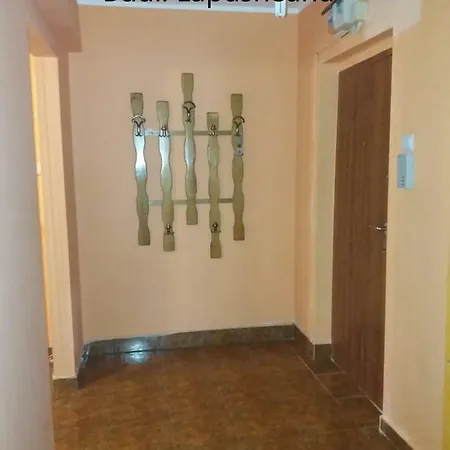 Bulevardul Lapusneanu Apartment