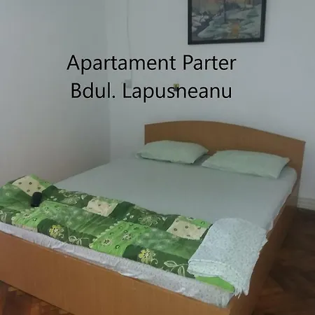 Bulevardul Lapusneanu Apartment *