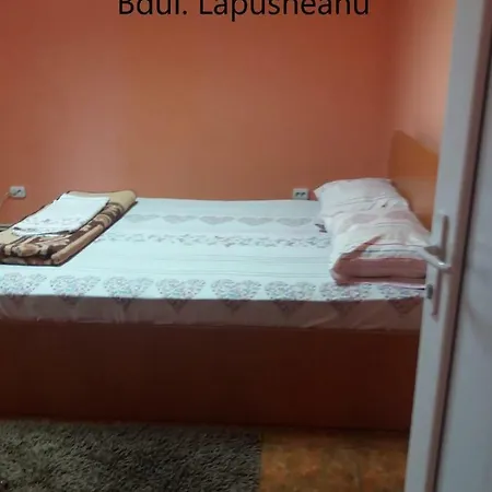 Bulevardul Lapusneanu Constanta