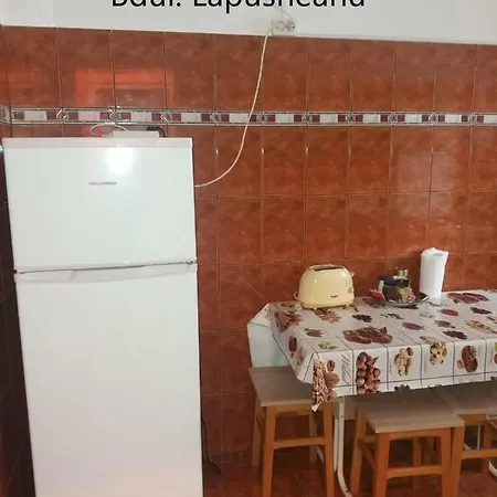 Bulevardul Lapusneanu Apartment *