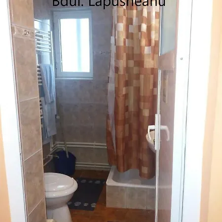 Bulevardul Lapusneanu Apartment