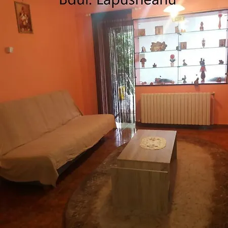 Bulevardul Lapusneanu Constanta